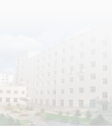 基于异辛酸锌 CAS 136-53-8的聚氨酯反应型热熔胶和密封胶配方优化