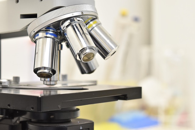 新癸酸铋催化剂在聚氨酯催化体系中的应用与性能优化